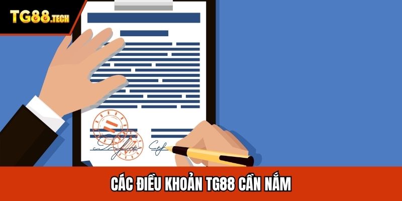 Các điều khoản TG88 cần nắm