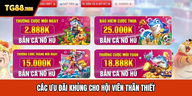 Các ưu đãi khủng cho hội viên thân thiết