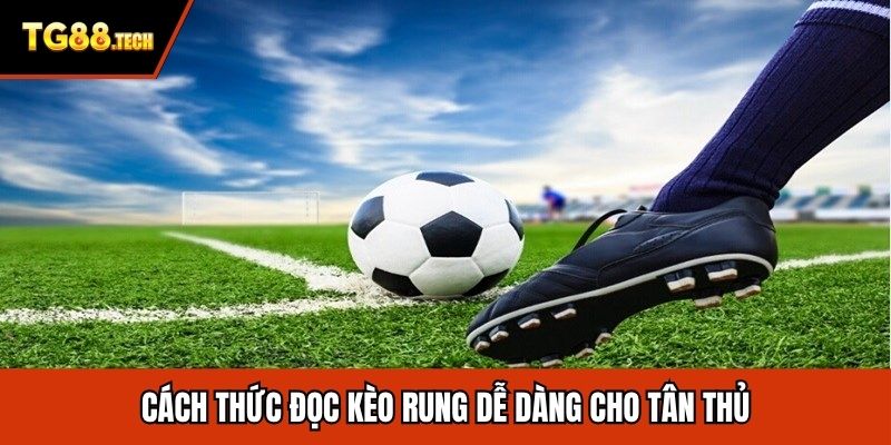 Cách thức đọc kèo rung dễ dàng cho tân thủ