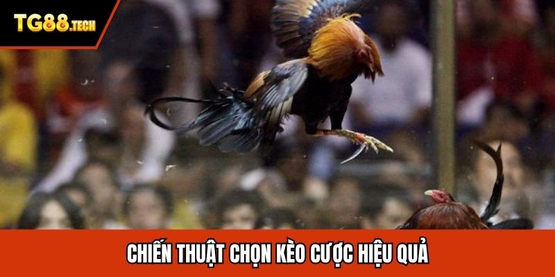Chiến thuật chọn kèo cược hiệu quả