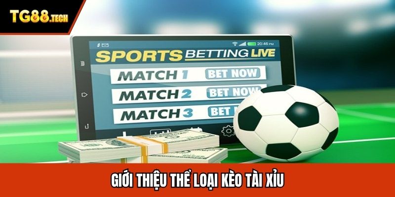 Giới thiệu thể loại kèo tài xỉu