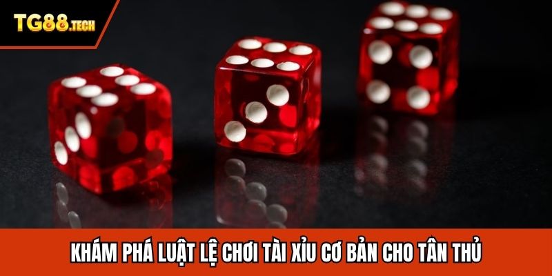 Khám phá luật lệ chơi tài xỉu cơ bản cho tân thủ