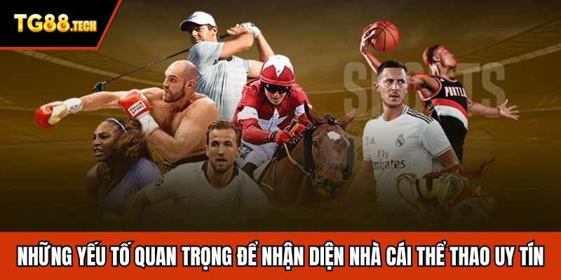 Những yếu tố quan trọng để nhận diện nhà cái thể thao uy tín