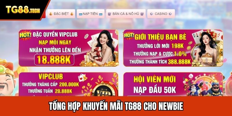 Tổng hợp khuyến mãi TG88 cho newbie