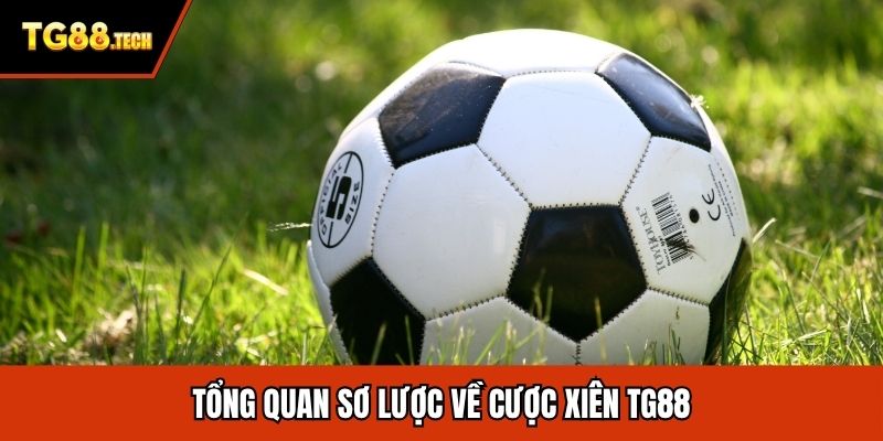 Tổng quan sơ lược về cược xiên TG88