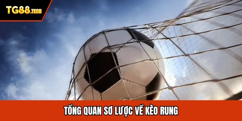 Tổng quan sơ lược về kèo rung